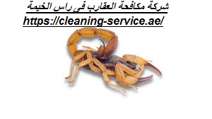 شركة مكافحة العقارب فى راس الخيمة
