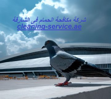 شركة مكافحة الحمام فى الشارقة