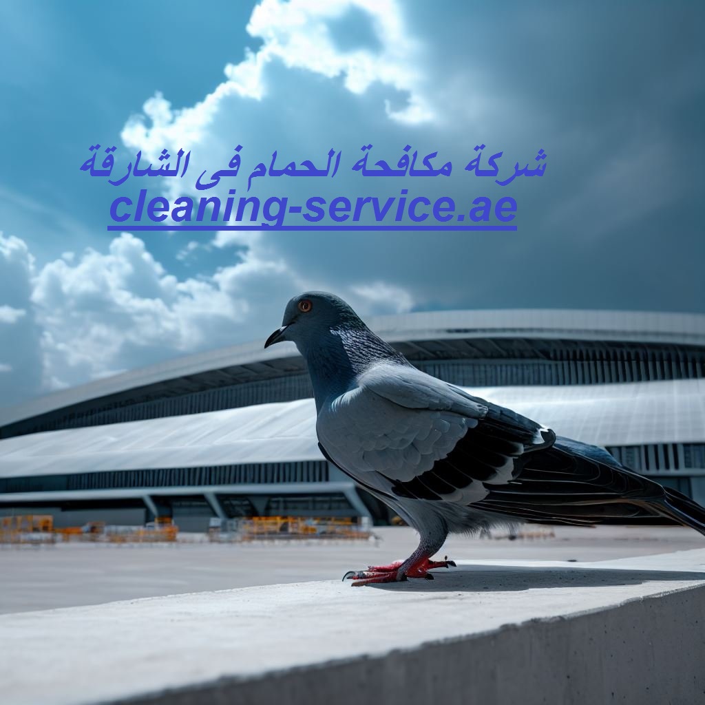 شركة مكافحة الحمام فى الشارقة