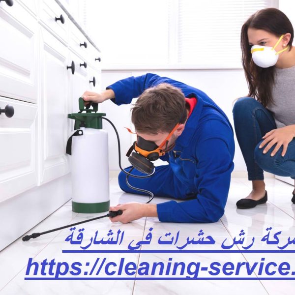 شركة رش حشرات في الشارقة
