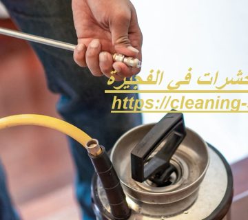 شركة رش حشرات في الفجيرة