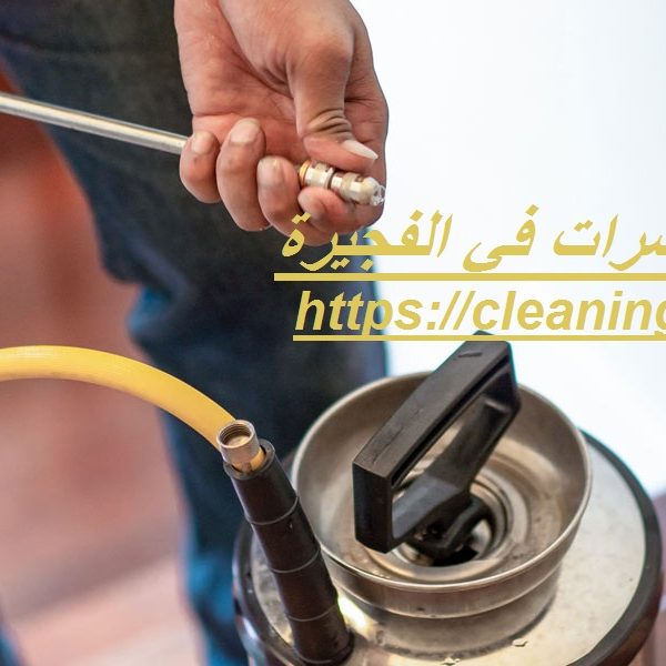 شركة رش حشرات في الفجيرة