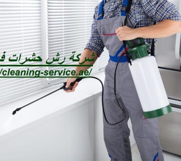 شركة رش حشرات في دبي