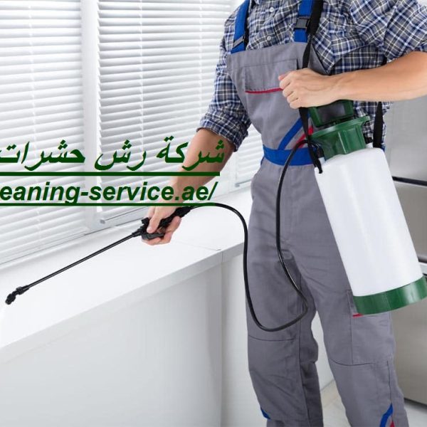 شركة رش حشرات في دبي