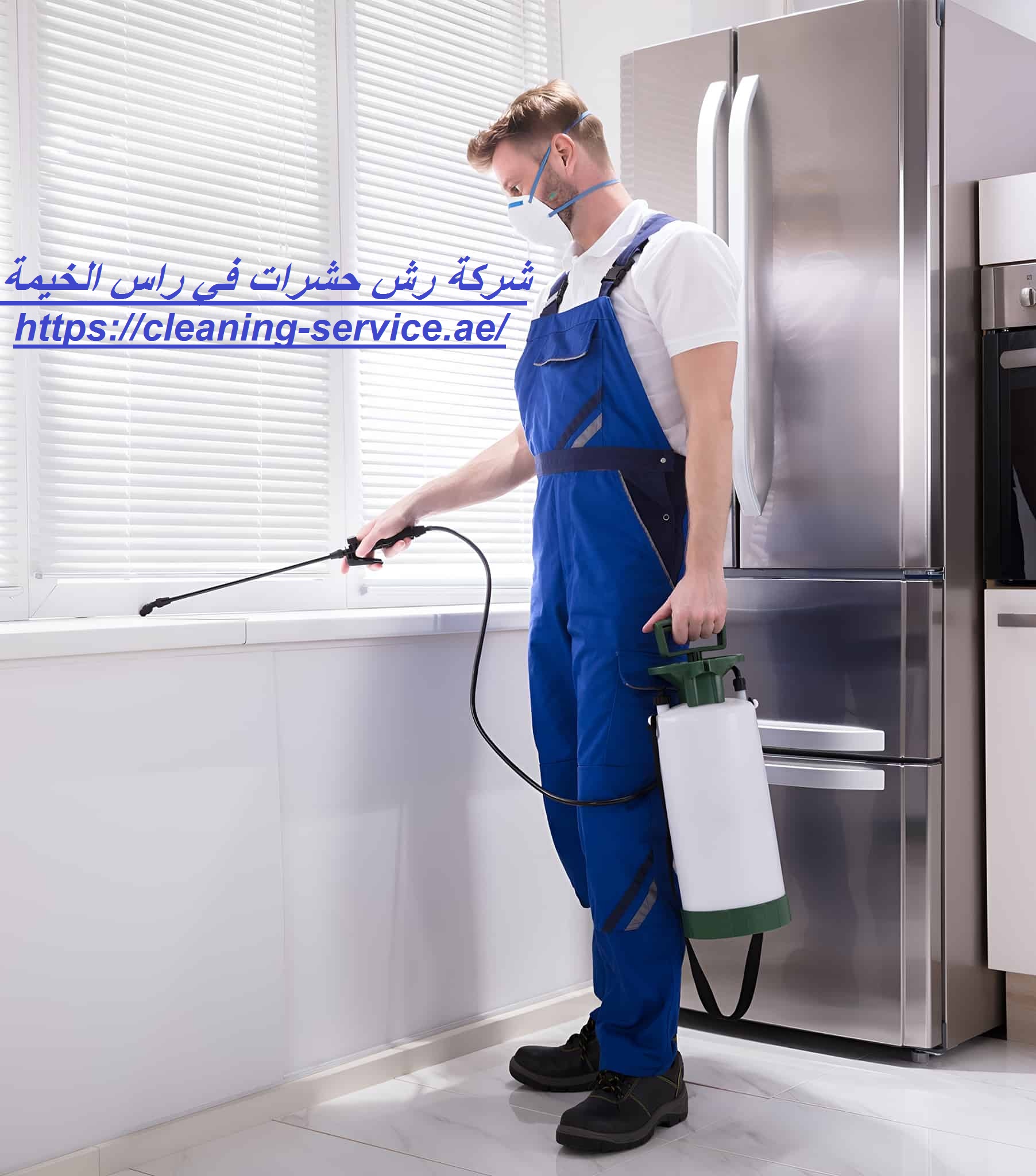 شركة رش حشرات في راس الخيمة