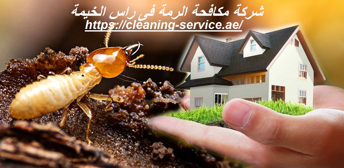 شركة مكافحة الرمة فى راس الخيمة