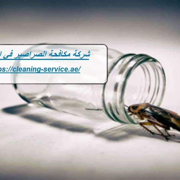 شركة مكافحة الصراصير في الفجيرة