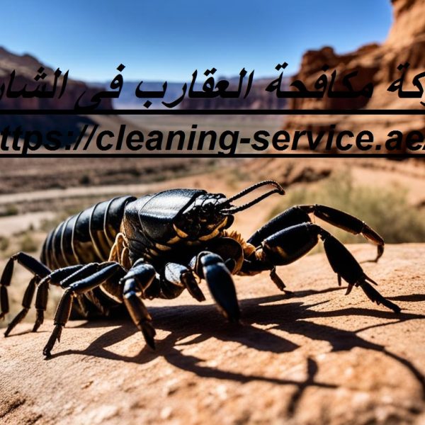 شركة مكافحة العقارب فى الشارقة