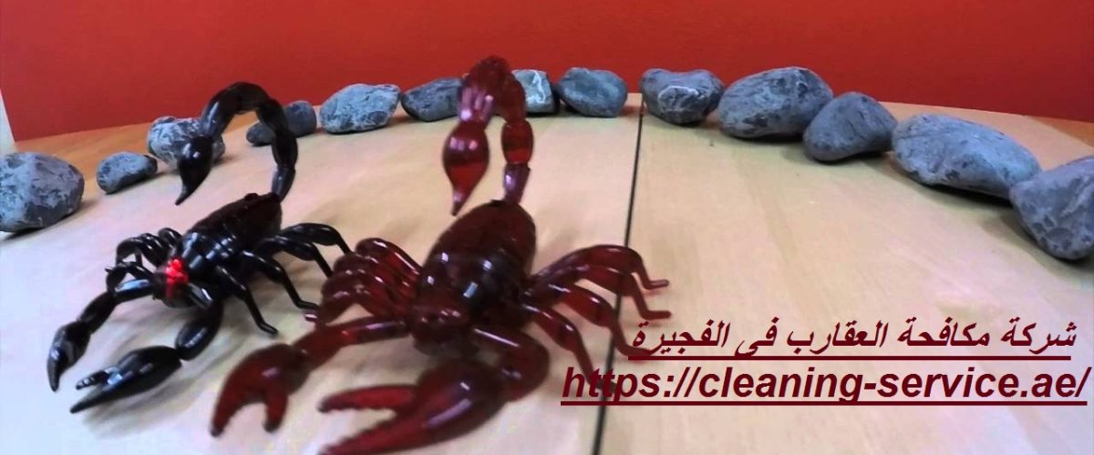 شركة مكافحة العقارب فى الفجيرة
