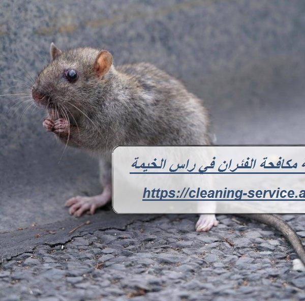 شركة مكافحة الفئران في راس الخيمة
