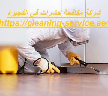 شركة مكافحة حشرات في الفجيرة