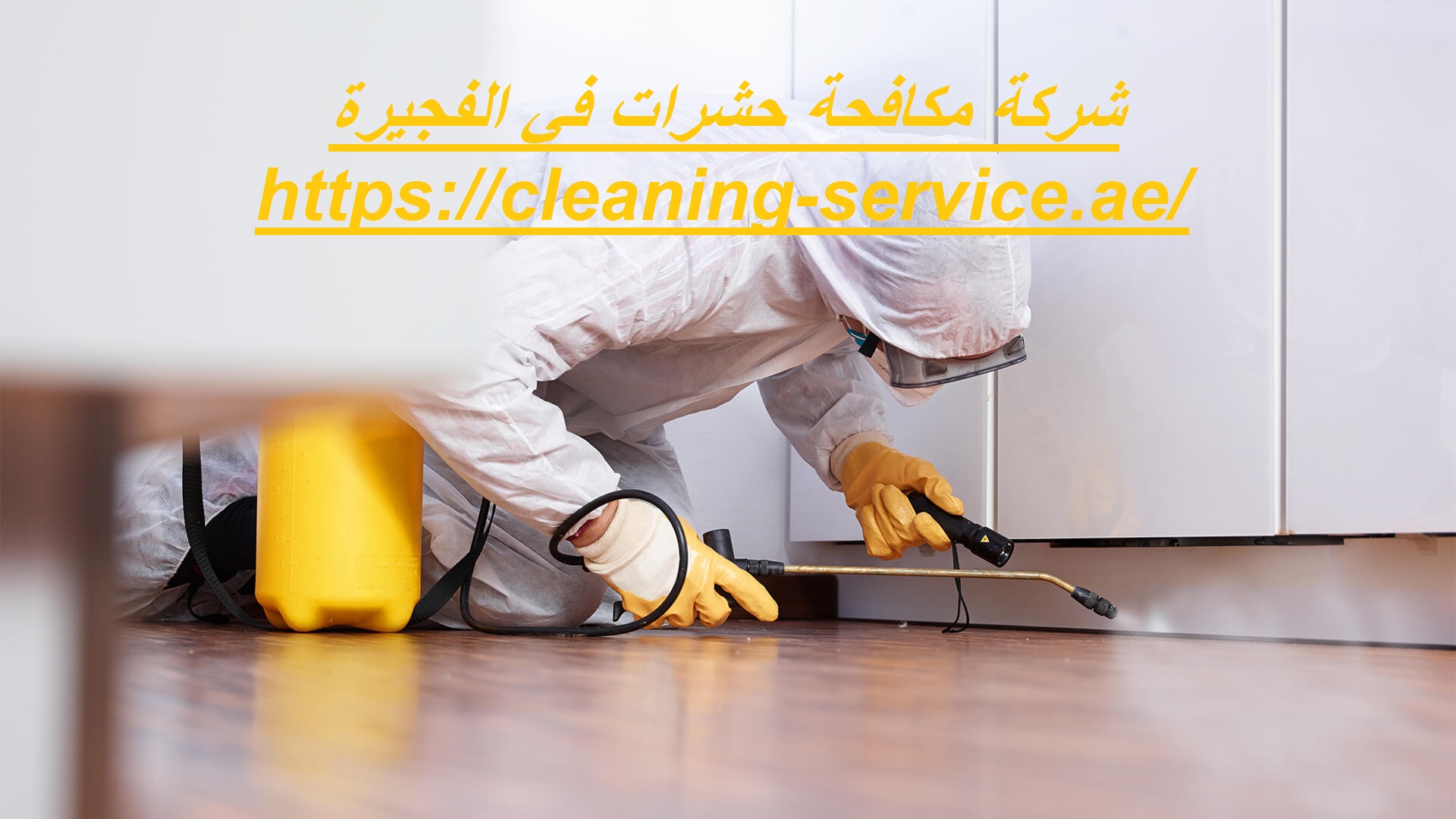 شركة مكافحة حشرات في الفجيرة