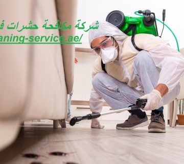 شركة مكافحة حشرات في راس الخيمة