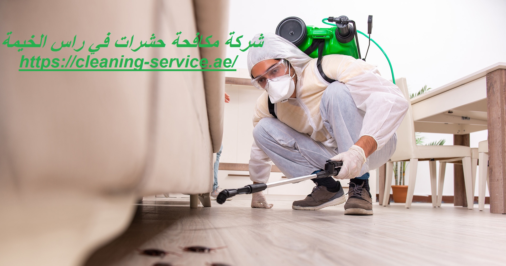 شركة مكافحة حشرات في راس الخيمة