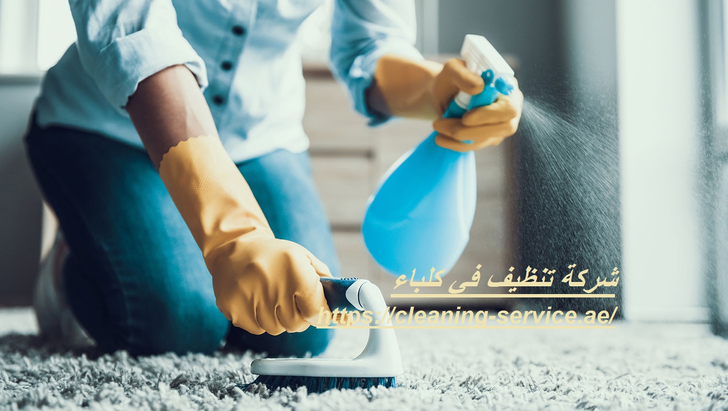 شركة تنظيف في كلباء