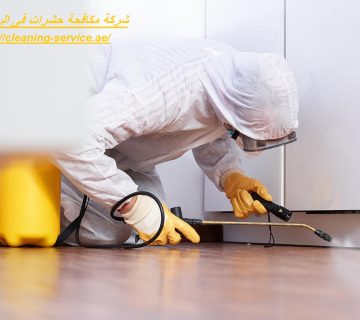 شركة مكافحة حشرات فى الرحمانية
