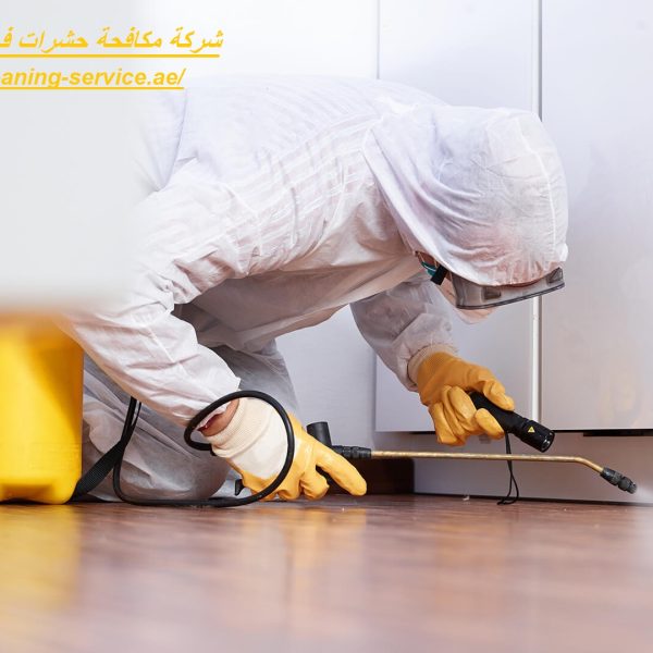 شركة مكافحة حشرات فى الرحمانية