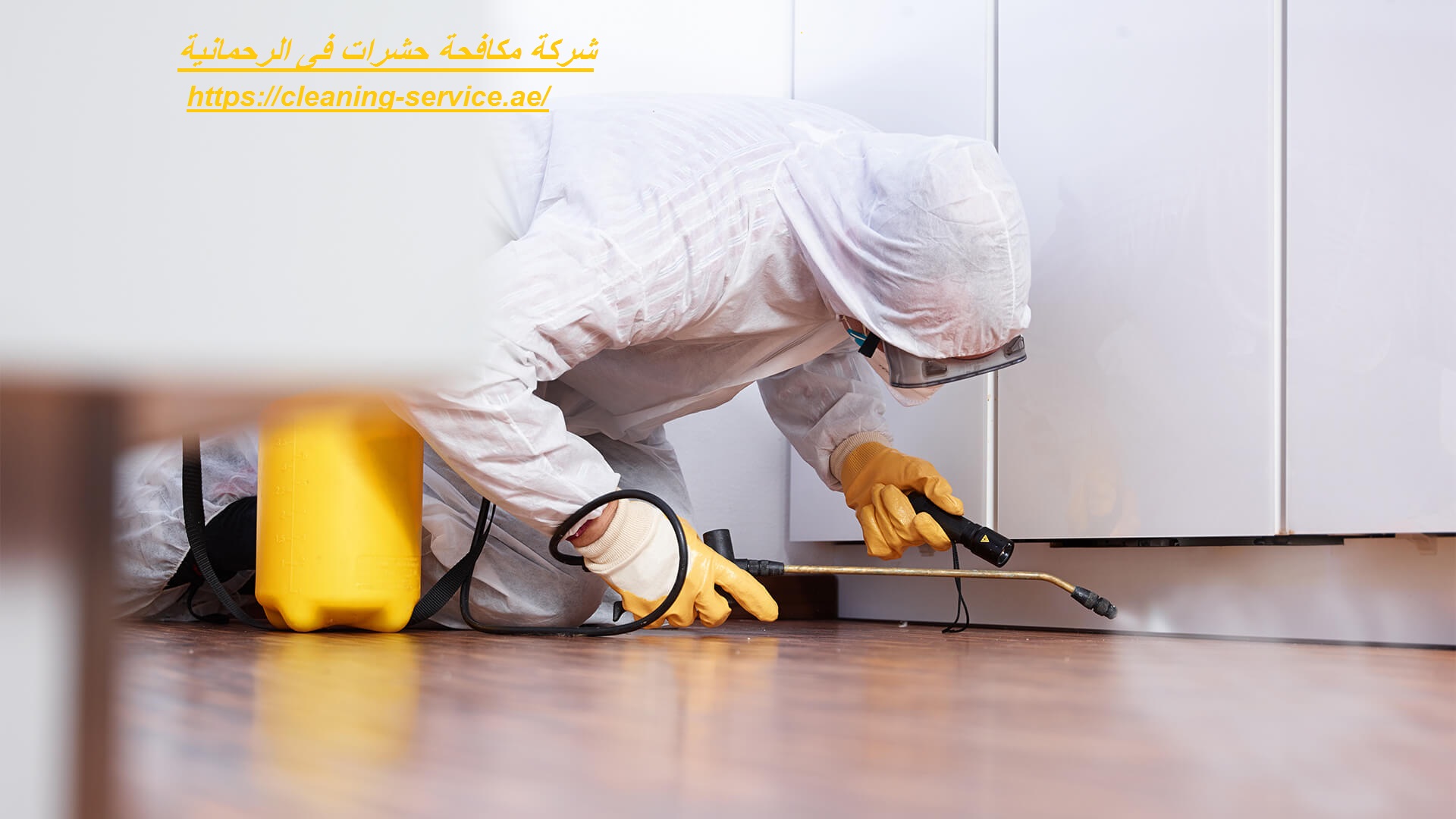شركة مكافحة حشرات فى الرحمانية