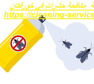 شركة مكافحة حشرات في خورفكان