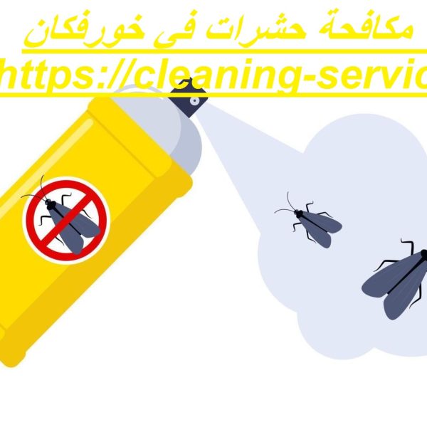 شركة مكافحة حشرات في خورفكان