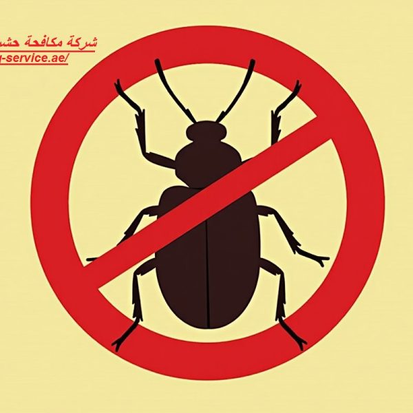 شركة مكافحة حشرات في دبا الحصن