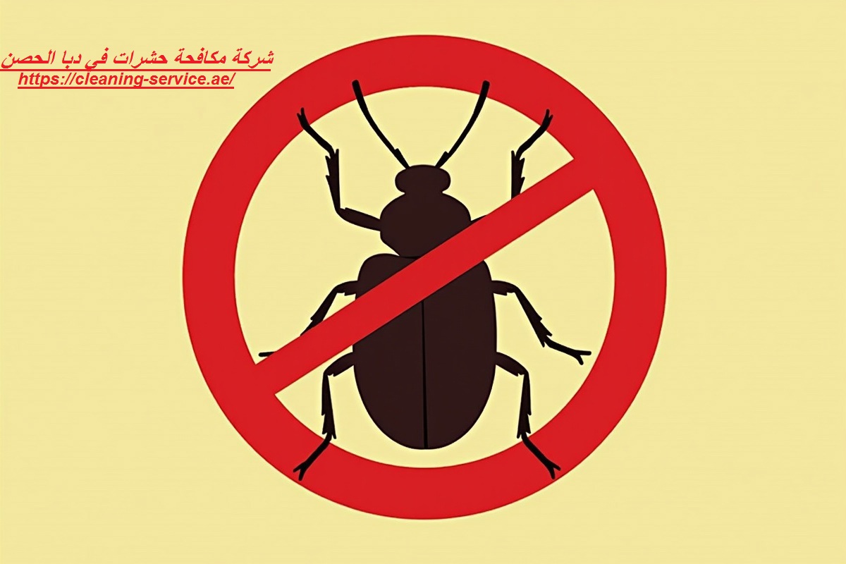 شركة مكافحة حشرات في دبا الحصن