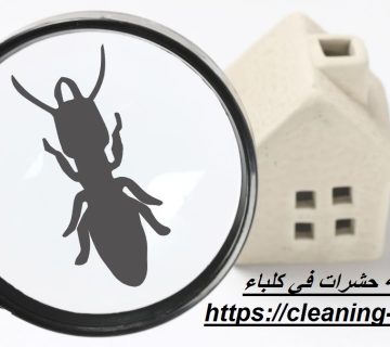 شركة مكافحة حشرات في كلباء