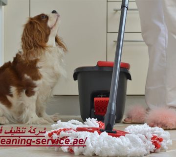 شركة تنظيف فى العوير