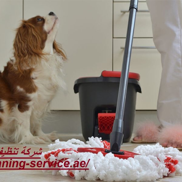 شركة تنظيف فى العوير
