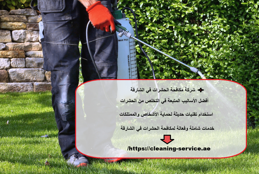 شركة مكافحة الحشرات في الشارقة