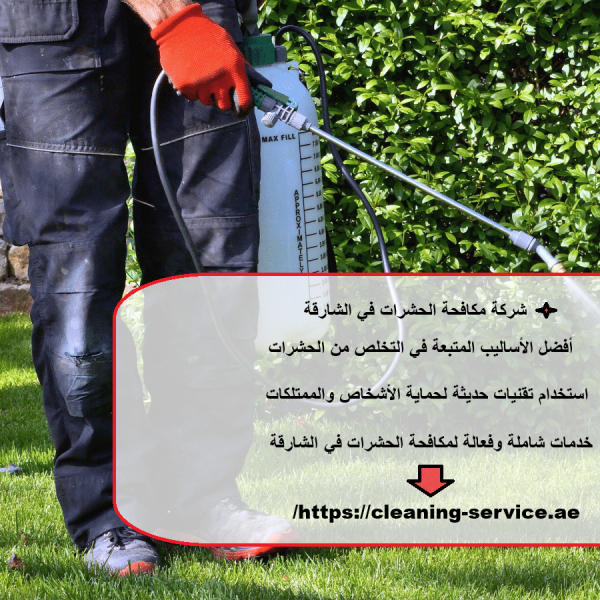 شركة مكافحة الحشرات في الشارقة