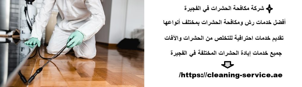شركة مكافحة الحشرات في الفجيرة