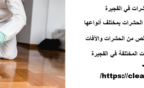 شركة مكافحة الحشرات في الفجيرة