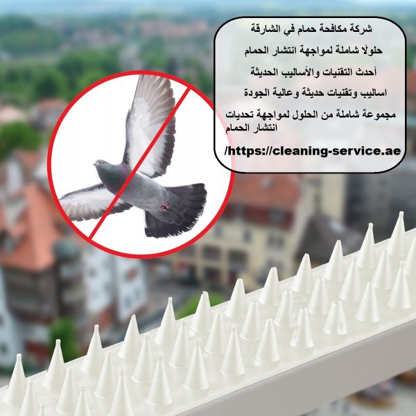 شركة مكافحة حمام في الشارقة