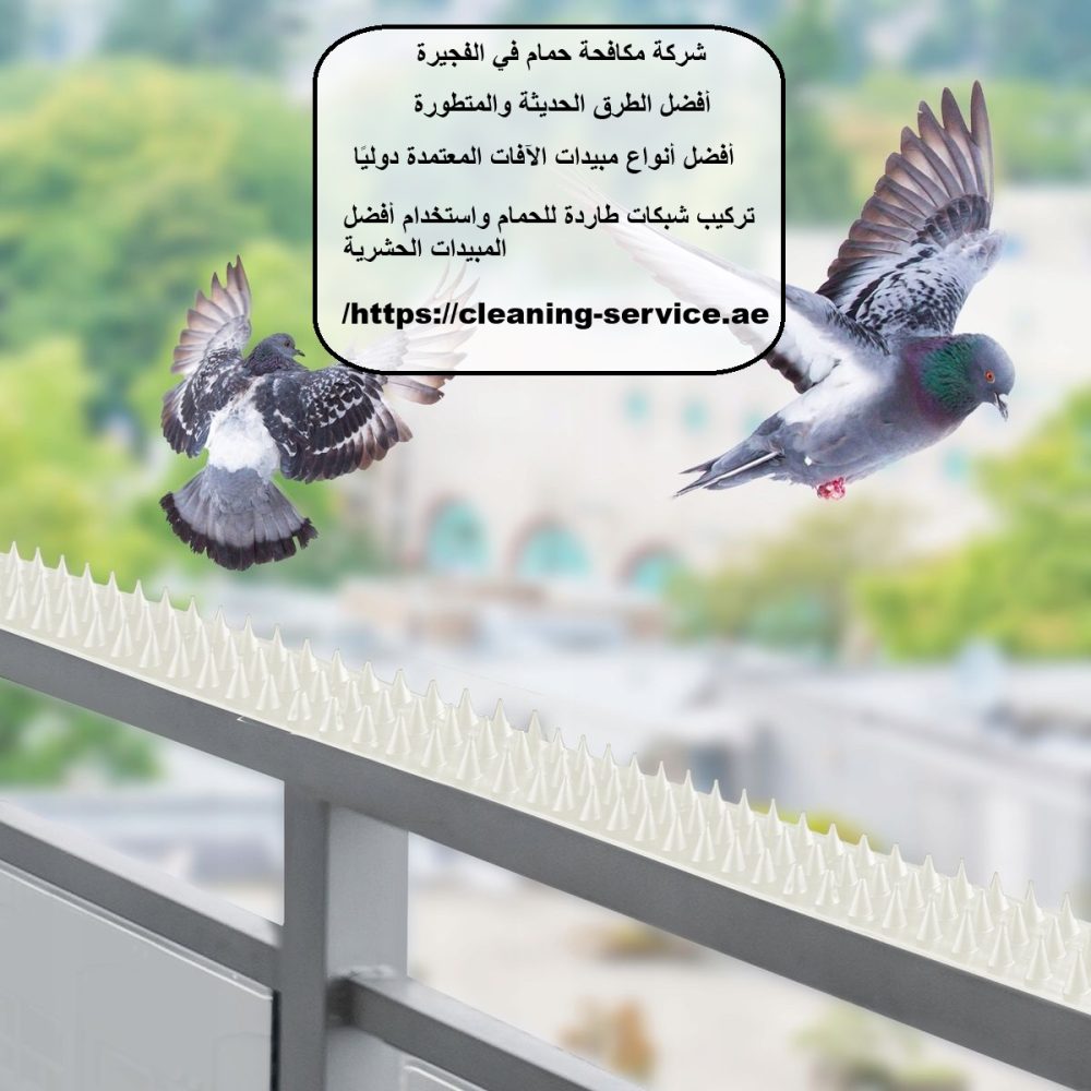 شركة مكافحة حمام في الفجيرة