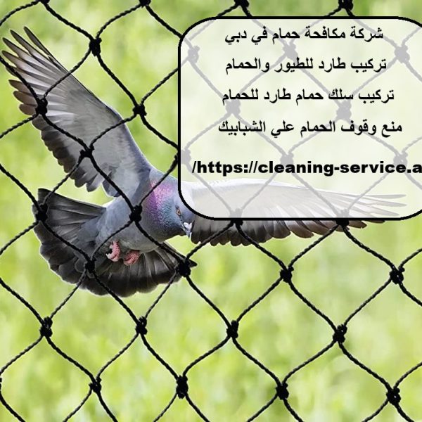 شركة مكافحة حمام في دبي