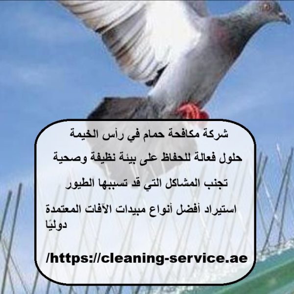 شركة مكافحة حمام في رأس الخيمة